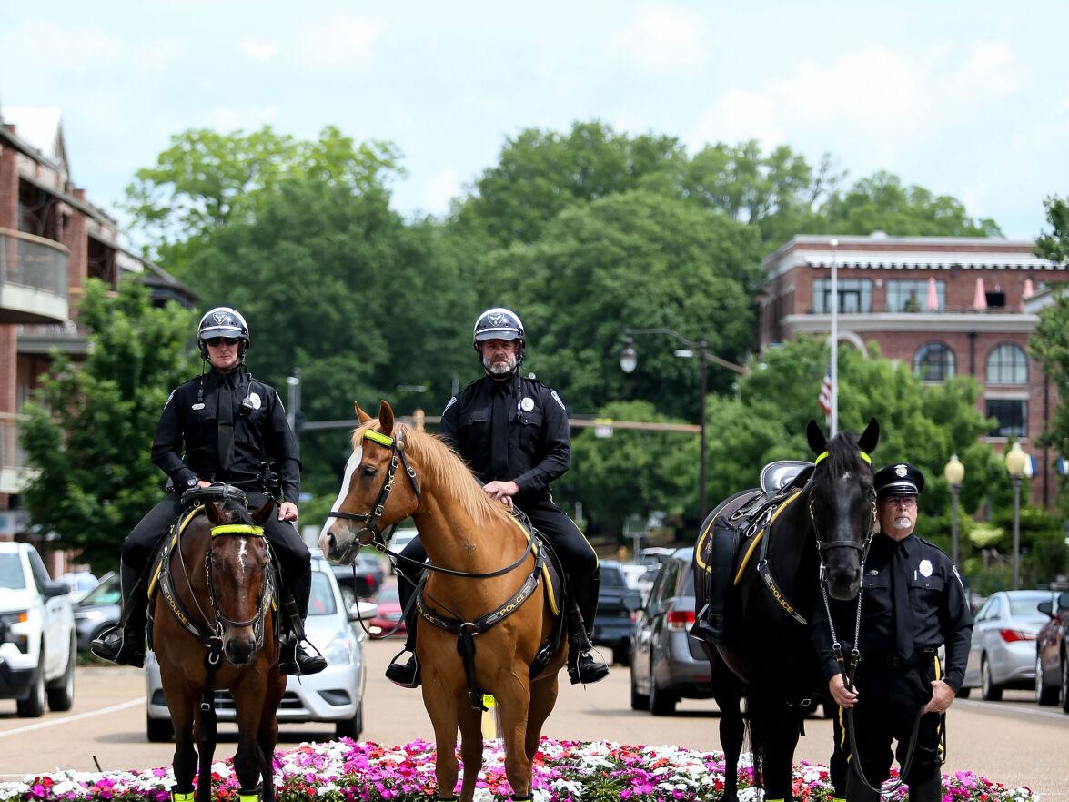 Oxford Police Department's mounted unit keeps the Square safe, and does it with charm